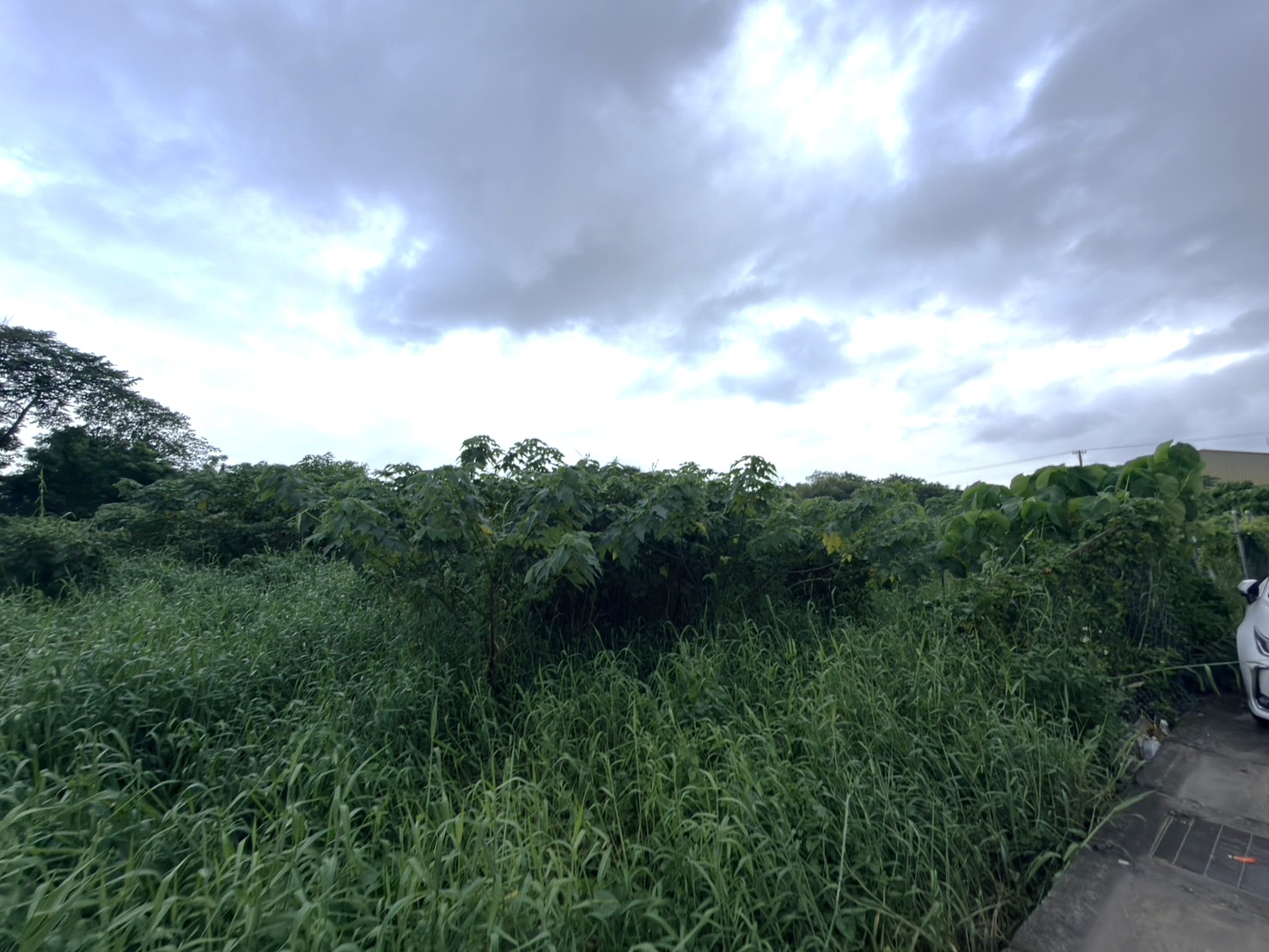 八德興豐路|3075坪大面寬農地|正20米路・可分割|桃園市八德區|興豐路
